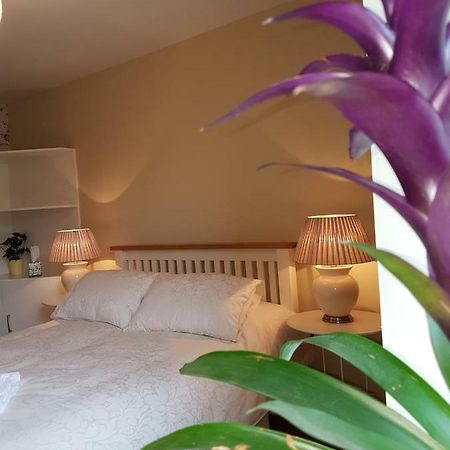 Apartament Glenbower House Cork Zewnętrze zdjęcie