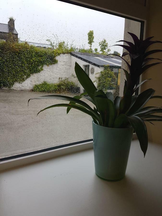 Apartament Glenbower House Cork Zewnętrze zdjęcie