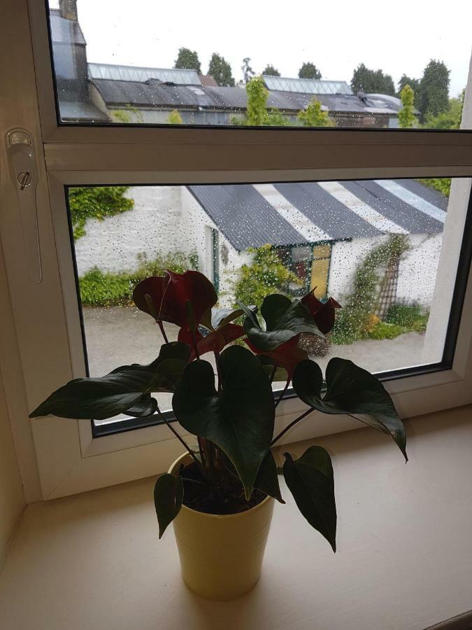 Apartament Glenbower House Cork Zewnętrze zdjęcie